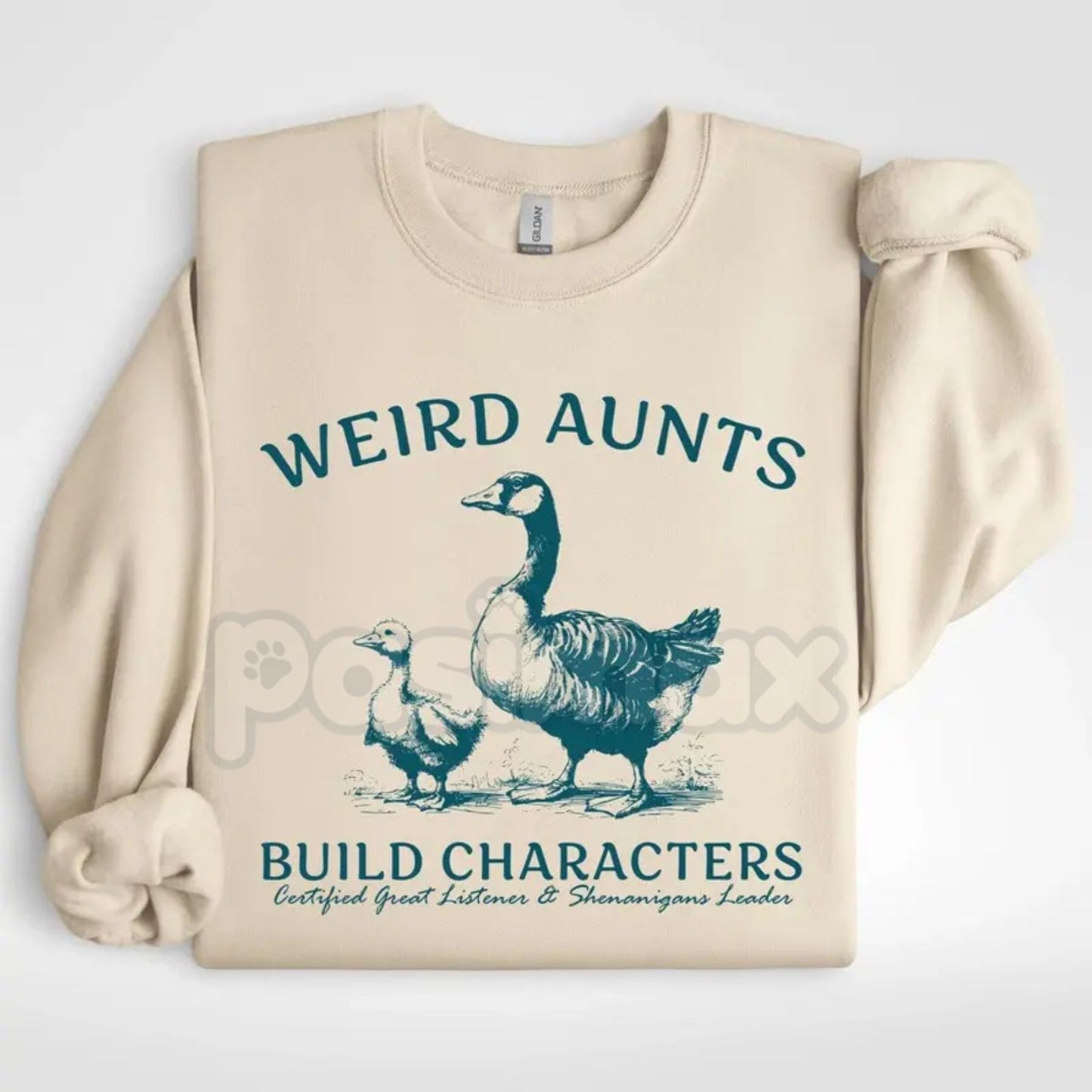 Weird Aunts Build Character Sweatshirt | Funny Cool Aunt Crewneck | Aesthetic Fun Aunt Jumper | Gift for Best Aunt Ever | Eccentric Auntie Graphic Shirt-Pasimax