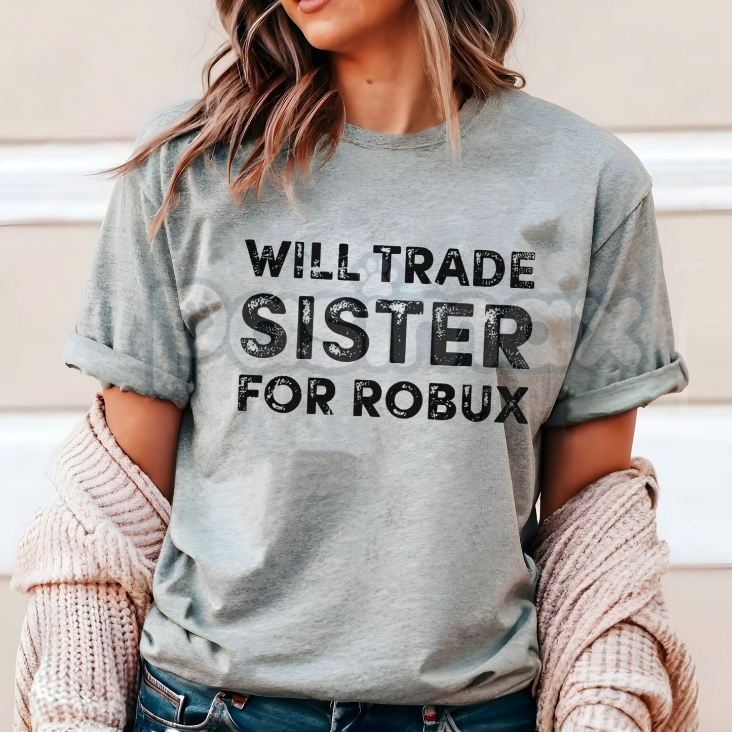 "Will Trade Sister For Robux" Video Game Tee - Funny Sibling Gamer Humor Shirt, Roblox Currency Joke Apparel, Casual Gift for Brothers-Pasimax